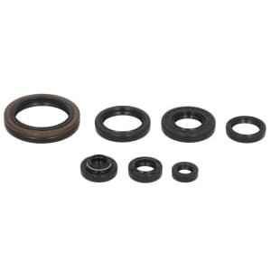 Set garnituri pentru motor WINDEROSA