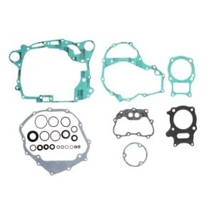 Set garnituri complet, motor WINDEROSA