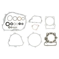 Set garnituri complet, motor WINDEROSA