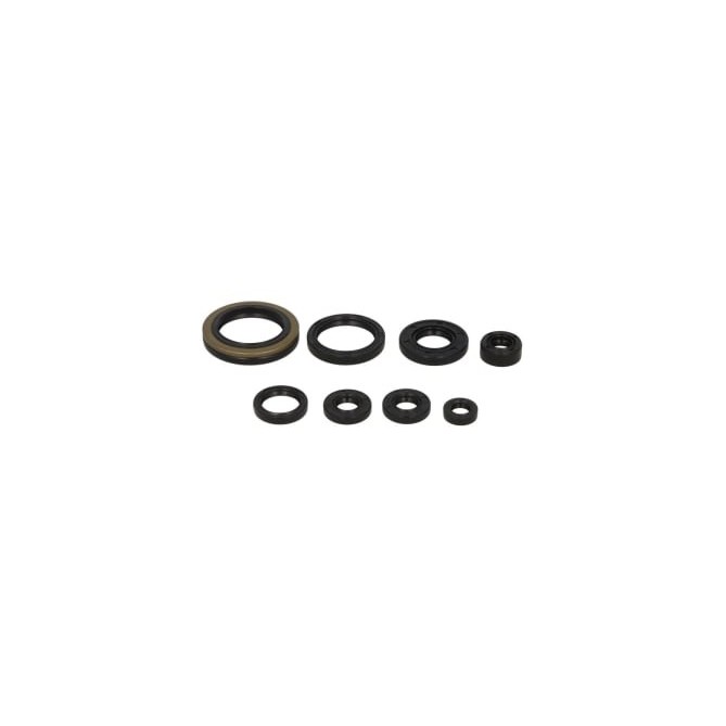 Set garnituri pentru motor WINDEROSA