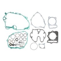 Set garnituri complet, motor WINDEROSA