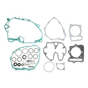 Set garnituri complet, motor WINDEROSA