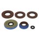 Set garnituri motor WINDEROSA Engine gaskets set Motor > Garnituri de motor-set