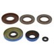 Set garnituri motor WINDEROSA Engine gaskets set Motor > Garnituri de motor-set