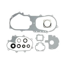 Set garnituri complet, motor WINDEROSA