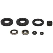 Set garnituri pentru motor WINDEROSA