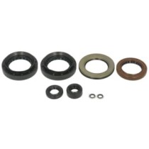 Set garnituri pentru motor WINDEROSA