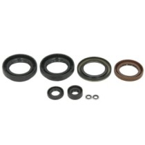 Set garnituri pentru motor WINDEROSA