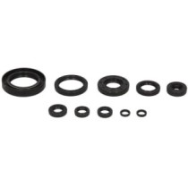 Set garnituri pentru motor WINDEROSA