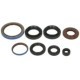 Set garnituri motor WINDEROSA Arctic Cat Engine gaskets set