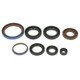 Set garnituri motor WINDEROSA Arctic Cat Engine gaskets set