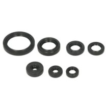 Set garnituri pentru motor WINDEROSA