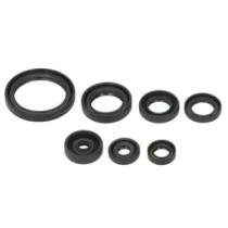 Set garnituri pentru motor WINDEROSA