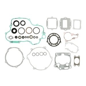 Set garnituri complet, motor WINDEROSA