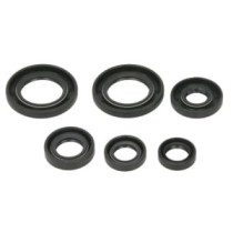 Set garnituri pentru motor WINDEROSA