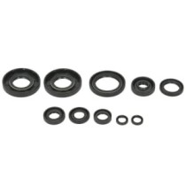 Set garnituri pentru motor WINDEROSA