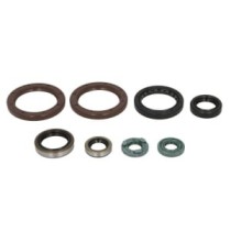 Set garnituri pentru motor WINDEROSA