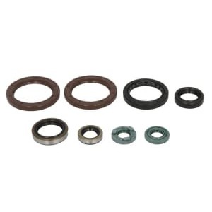 Set garnituri pentru motor WINDEROSA