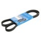 Curea transmisie cu caneluri SKF Multi-V-belt 4PK1300 pentru FORD, lungime 1300 mm, lățime 14.24 mm, 4 nervuri