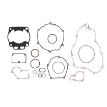 Set garnituri complet, motor WINDEROSA