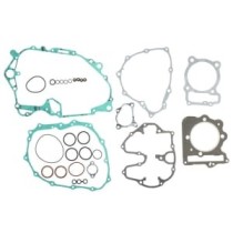 Set garnituri complet, motor WINDEROSA