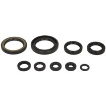 Set garnituri pentru motor WINDEROSA