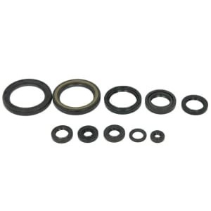 Set garnituri pentru motor WINDEROSA