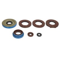 Set garnituri pentru motor WINDEROSA