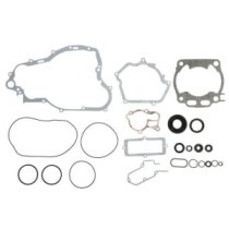 Set garnituri complet, motor WINDEROSA