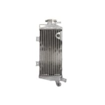 Radiator, racire motor 4 RIDE