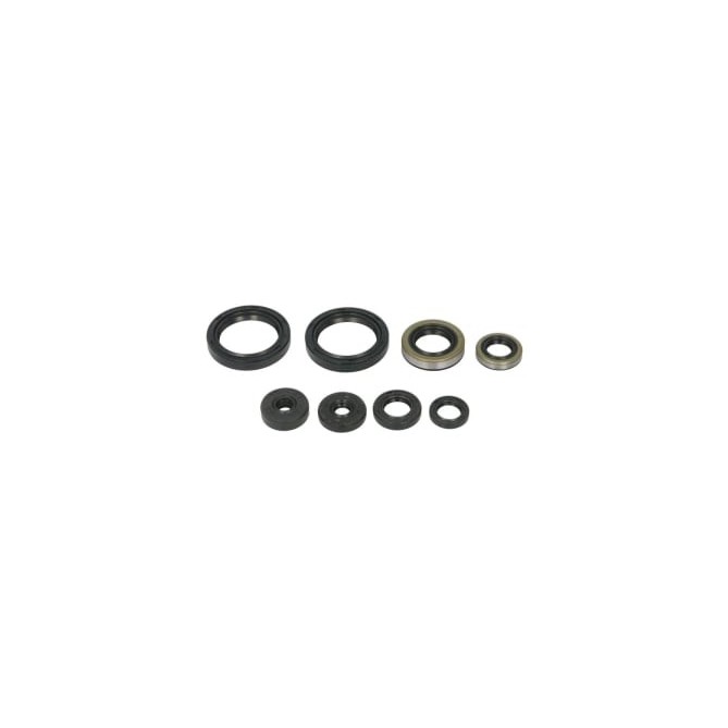 Set garnituri pentru motor WINDEROSA