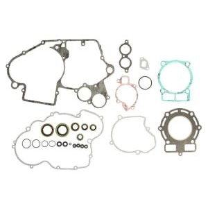 Set garnituri complet, motor WINDEROSA