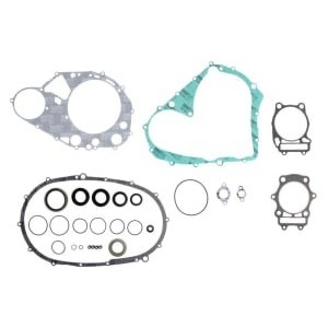 Set garnituri complet, motor WINDEROSA