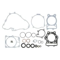 Set garnituri complet, motor WINDEROSA