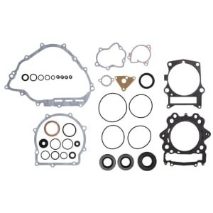 Set garnituri complet, motor WINDEROSA