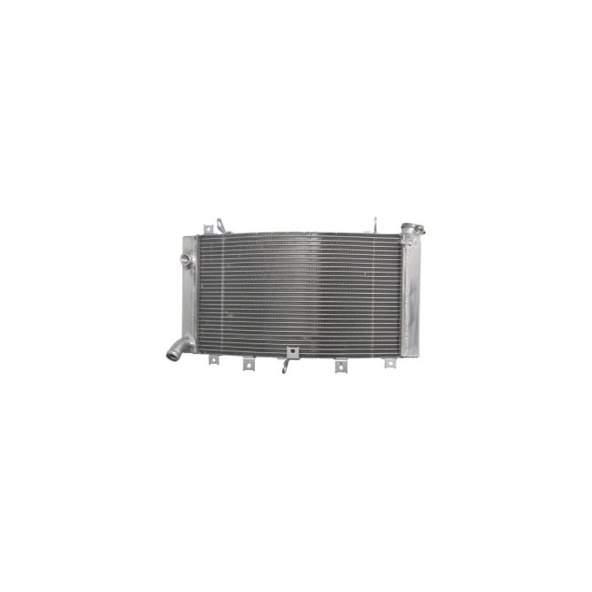 Radiator, racire motor 4 RIDE