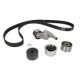 Set curea de distributie SKF