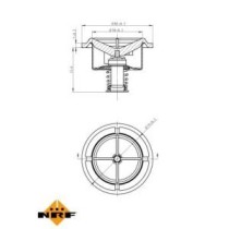 Termostat,lichid racire NRF