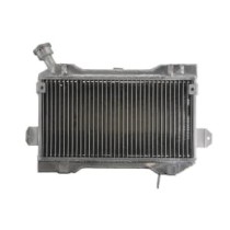 Radiator, racire motor 4 RIDE