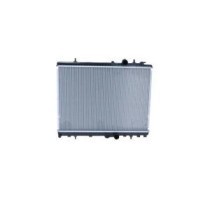 Radiator, racire motor NRF