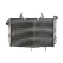 Radiator, racire motor 4 RIDE