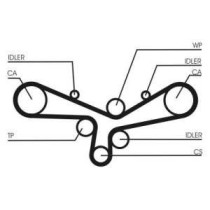 Curea de distributie CONTITECH