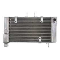 Radiator, racire motor 4 RIDE