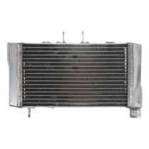 Radiator, racire motor 4 RIDE