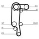 Curea de distributie CONTITECH pentru AUDI A2, SEAT ALTEA, CORDOBA, IBIZA II-IV, LEON 1.4/1.6, 130 dinti, latime 20.0 mm, lungime 25.5 cm