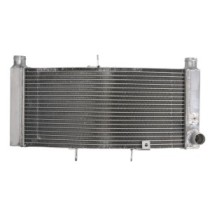 Radiator, racire motor 4 RIDE