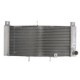 Radiator, racire motor 4 RIDE