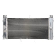 Radiator, racire motor 4 RIDE