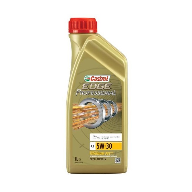 Ulei de motor CASTROL PROFESSIONAL