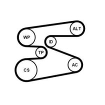 Set curea transmisie cu caneluri CONTITECH